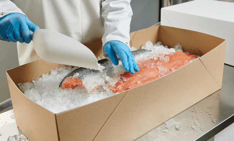 Enhancing Fishing Experiences With Innovative Packaging