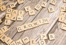 progressive expansion strategy outlook