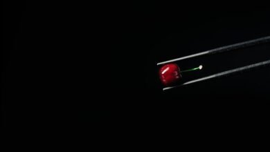 unlock creativity and enhance life