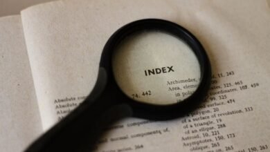 information about wuvdbugflox unknown entity