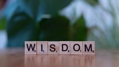 learn about vtlcdbc top reasons