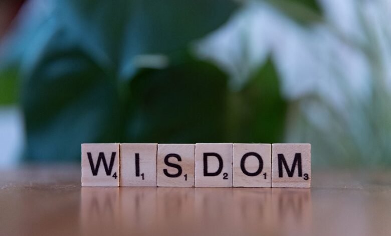 learn about vtlcdbc top reasons
