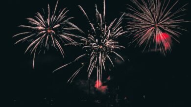 online event of the year scookievent