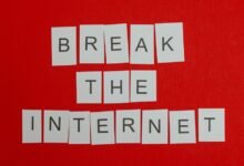 rising popularity of ip address
