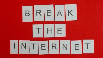 rising popularity of ip address