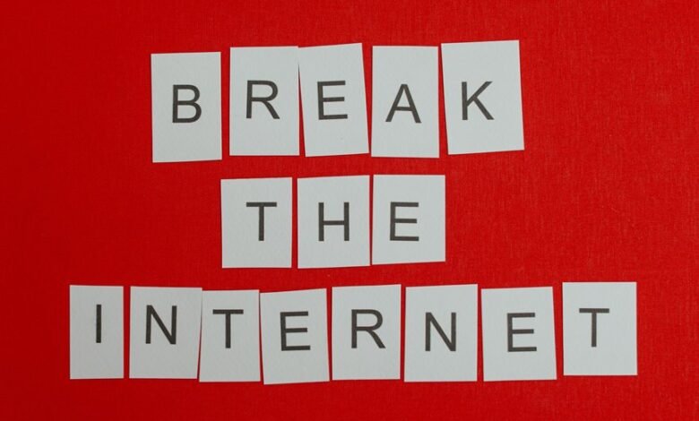 rising popularity of ip address