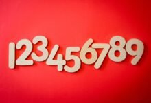 top facts about 5548556394